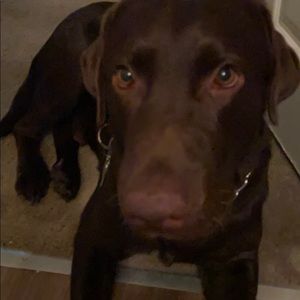 Meet your Posher, Sharon